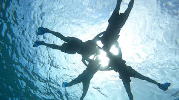 宮古島 ADVENTURE PiPi（ミヤコジマ アドベンチャー ピピ）に投稿された画像（2024/5/4）