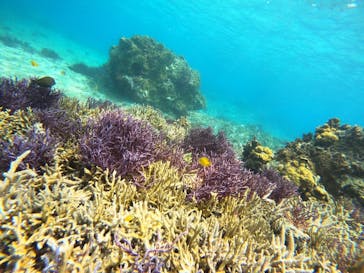 宮古島 ADVENTURE PiPi（ミヤコジマ アドベンチャー ピピ）に投稿された画像（2024/5/4）