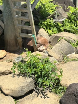 アロハガーデンたてやまに投稿された画像（2024/5/4）