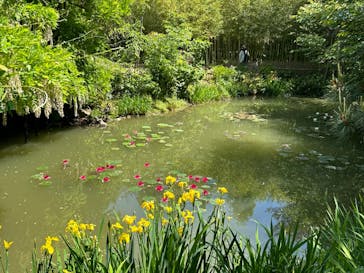 浜名湖花博2024に投稿された画像（2024/5/4）