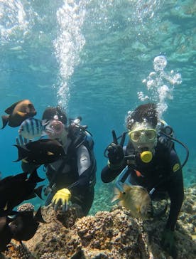 武藤潜水に投稿された画像（2024/5/4）