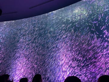 名古屋港水族館に投稿された画像（2024/5/4）