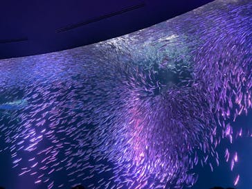 名古屋港水族館に投稿された画像（2024/5/4）