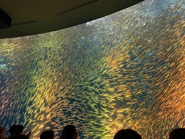 名古屋港水族館に投稿された画像（2024/5/4）