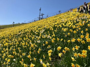 びわ湖バレイに投稿された画像（2024/5/4）