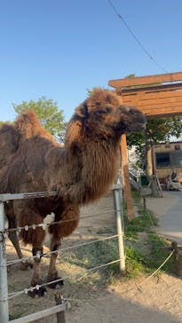 神戸どうぶつ王国に投稿された画像（2024/5/4）