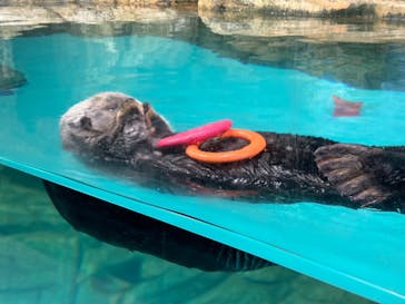 マリンワールド海の中道に投稿された画像（2024/5/4）