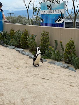 マリンワールド海の中道に投稿された画像（2024/5/4）