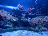 サンシャイン水族館に投稿された画像（2024/5/4）