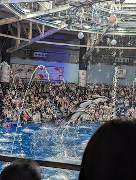 マクセル アクアパーク品川に投稿された画像（2024/5/4）