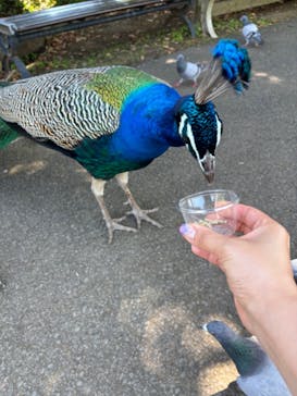 伊豆シャボテン動物公園に投稿された画像（2024/5/4）