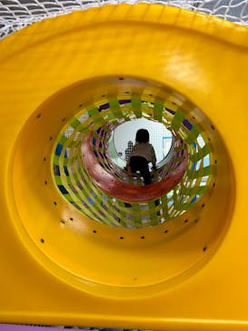 キッズランドUS 兵庫伊丹店に投稿された画像（2024/5/4）