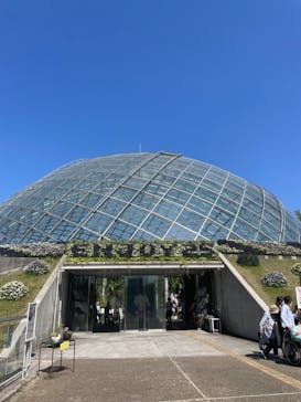 とっとり花回廊に投稿された画像（2024/5/4）