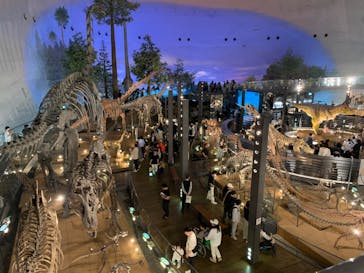 福井県立恐竜博物館に投稿された画像（2024/5/4）