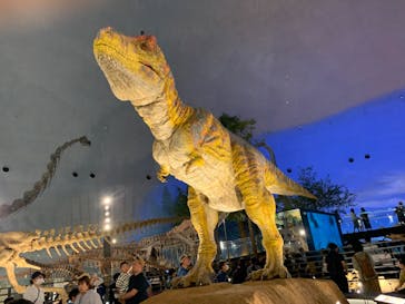 福井県立恐竜博物館に投稿された画像（2024/5/4）