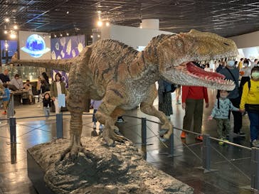 福井県立恐竜博物館に投稿された画像（2024/5/4）