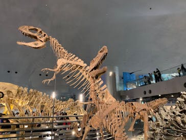 福井県立恐竜博物館に投稿された画像（2024/5/4）