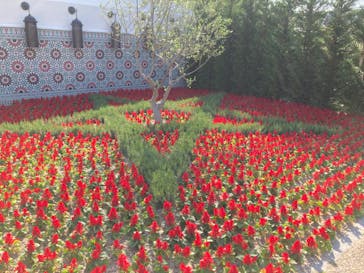 ぎふワールド・ローズガーデンに投稿された画像（2024/5/4）