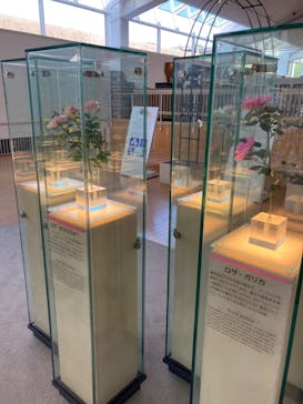 ぎふワールド・ローズガーデンに投稿された画像（2024/5/4）