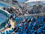 鴨川シーワールドに投稿された画像（2024/5/4）