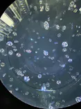 仙台うみの杜水族館に投稿された画像（2024/5/4）