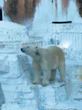 天王寺動物園に投稿された画像（2024/5/4）
