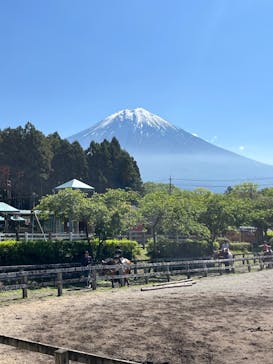 まかいの牧場に投稿された画像（2024/5/4）