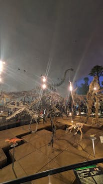 福井県立恐竜博物館に投稿された画像（2024/5/4）