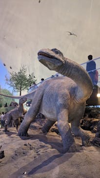 福井県立恐竜博物館に投稿された画像（2024/5/4）
