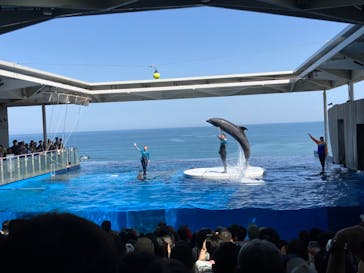 上越市立水族博物館 うみがたりに投稿された画像（2024/5/4）