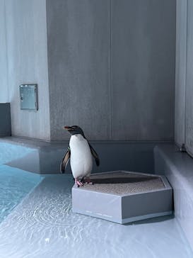 AOAO SAPPOROに投稿された画像（2024/5/4）