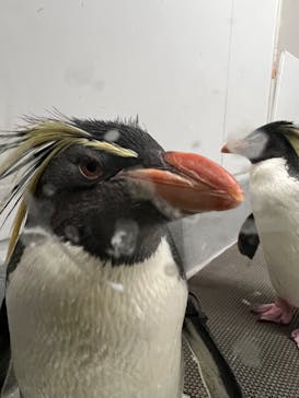 AOAO SAPPOROに投稿された画像（2024/5/4）