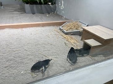 AOAO SAPPOROに投稿された画像（2024/5/4）