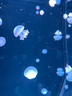 AOAO SAPPOROに投稿された画像（2024/5/4）