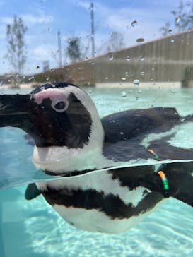 マリンワールド海の中道に投稿された画像（2024/5/4）
