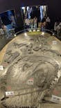 福井県立恐竜博物館に投稿された画像（2024/5/4）