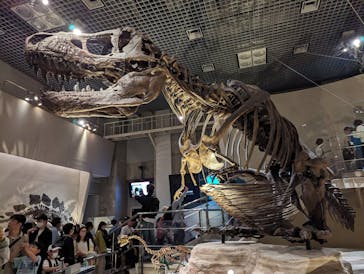 国立科学博物館に投稿された画像（2024/5/4）