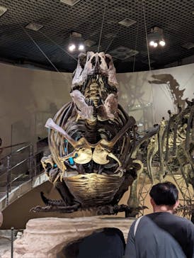 国立科学博物館に投稿された画像（2024/5/4）