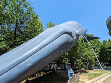 国立科学博物館に投稿された画像（2024/5/4）