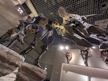 国立科学博物館に投稿された画像（2024/5/4）