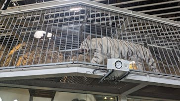 NIFREL（ニフレル）に投稿された画像（2024/5/4）