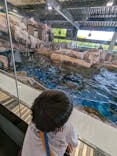 京都鉄道博物館×京都水族館に投稿された画像（2024/5/4）
