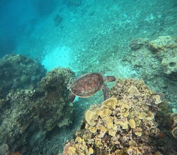 宮古島 ADVENTURE PiPi（ミヤコジマ アドベンチャー ピピ）に投稿された画像（2024/5/4）