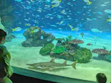サンシャイン水族館に投稿された画像（2024/5/4）