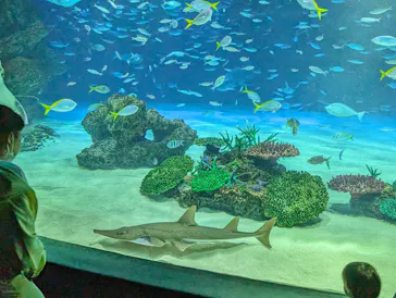 サンシャイン水族館に投稿された画像（2024/5/4）