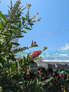 サンシャイン水族館に投稿された画像（2024/5/4）