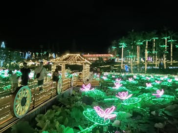 美らヤシパークオキナワ・東南植物楽園に投稿された画像（2024/5/4）