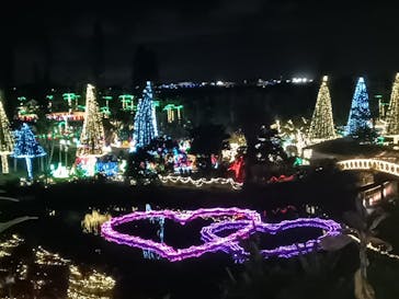 美らヤシパークオキナワ・東南植物楽園に投稿された画像（2024/5/4）