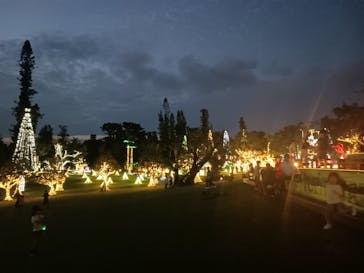 美らヤシパークオキナワ・東南植物楽園に投稿された画像（2024/5/4）