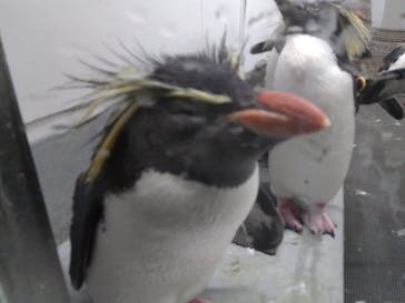 AOAO SAPPOROに投稿された画像（2024/5/4）